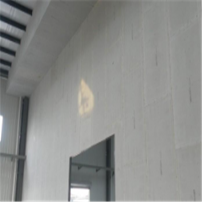 沁源宁波ALC板|EPS加气板隔墙与混凝土整浇联接的实验研讨